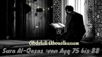 آيات بينات من سورة القصص|| القارئ:عبد العالي أبو القاسم|| Sura_AlQasas HD