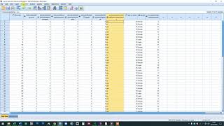 How To Import An Excel File To Spss  part 2