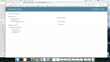 Qualitative Text Analysis at a Quantitative Scale
