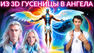 🌎🧘‍♂️ САМОЕ ВАЖНО ДЛЯ ВАС В НОВОМ ЭТАПЕ ПЛЕЯДЫ ЧЕННЕЛИНГ ГАЛАКТИЧЕСКИЕ НОВОСТИ ЧЕННЕЛИНГ ФИДРЯ ЮРИЙ