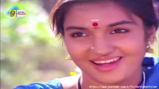 1991 - Pudhu Nellu Pudhu Naathu - Chittan Chittan - Video Song Gq Audio