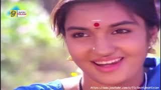 1991 -  Pudhu Nellu Pudhu Naathu - Chittan Chittan - Video Song [GQ Audio]