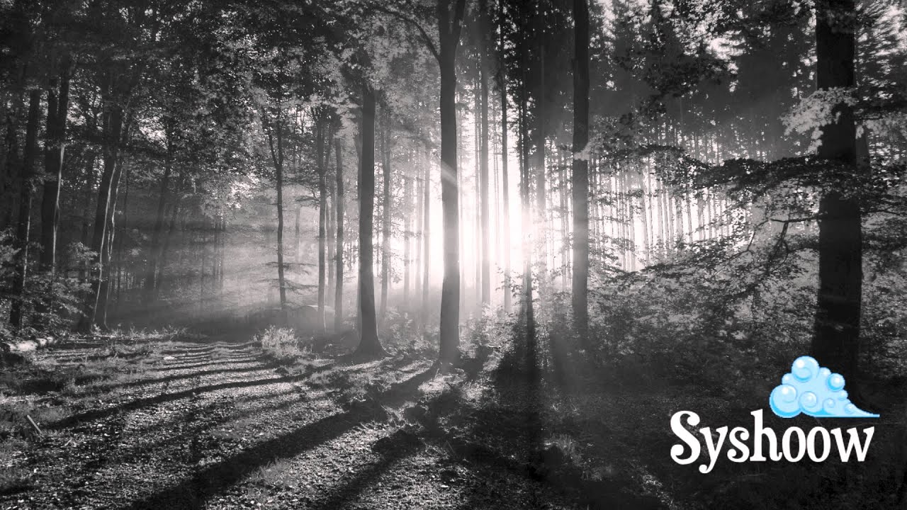 Maceo Plex - Your Style (Maya Jane Coles Remix - Lulu Rouge Edit)