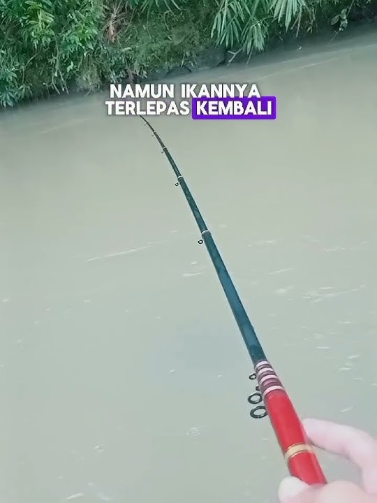 jangan percaya guru dia itu siluman guru #storywa #microfhising #yangpentingstrike #fyp #shorts