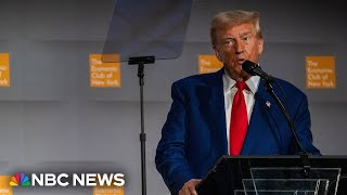 Trump voices support for Elon Musk's plan for a government efficiency commission