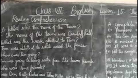 English class 7 lesson 15 The Glorious white washer. Reading comprehension. Part 1