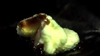 Popcorn poping Macro slow motion!
