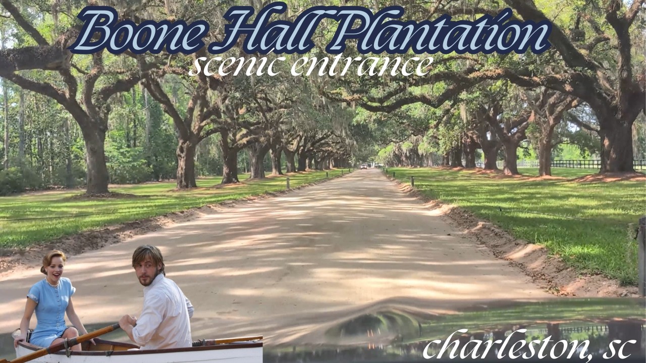 Scenic Entrance to Boone Hall Plantation (Charleston, SC) Relaxing Ambience