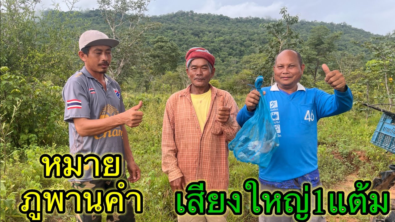 ต่อนกเขาใหญ่ ภูพานคำ ทีมงานจัดเสียงใหญ่ 1แต้ม ลุ้นด้วยกันมันๆ ครับ￼￼