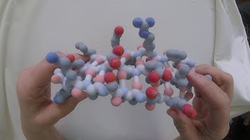 Beta Sheet Backbone and Beta Sheet with Sidechains