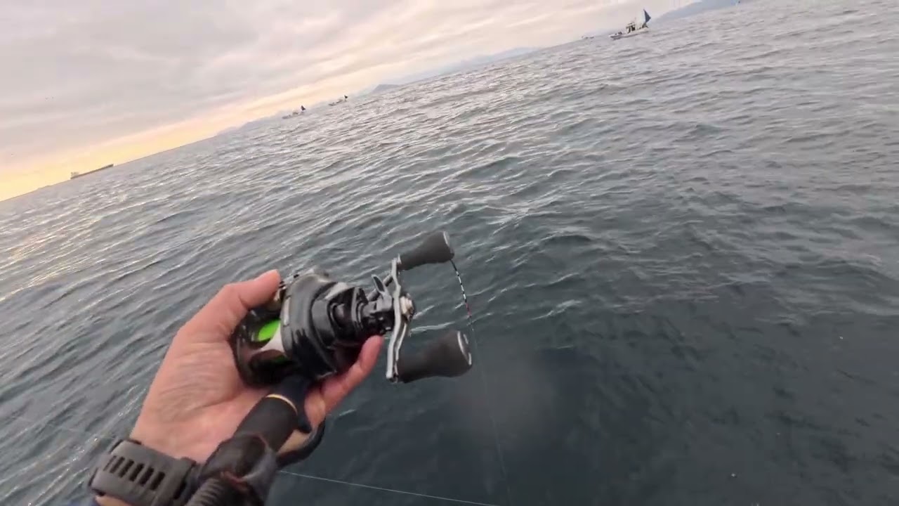 20251213 豊後水道　太刀魚釣り　美桜丸