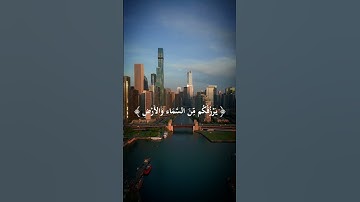 ماهر المعيقلي - سورة فاطر