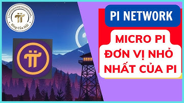 Micro Pi Đơn Vị Nhỏ Nhất Của Pi Network l Blog Của Hải