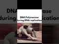 "DNA Polymerase in Action! Replication Magic! 🧬🔬 #DNARep #Polymerase #BioLab #MolecularBio"