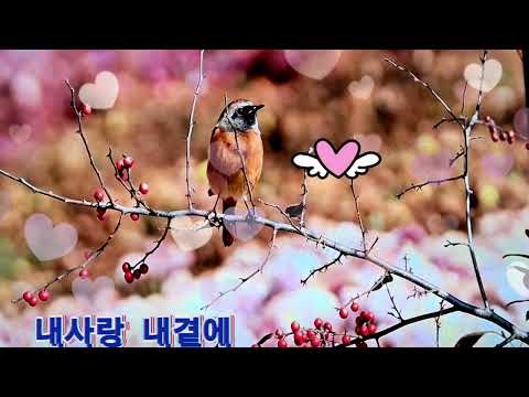 #내사랑 내곁에# My love by my side💜세레나 cover(원곡 김현식)