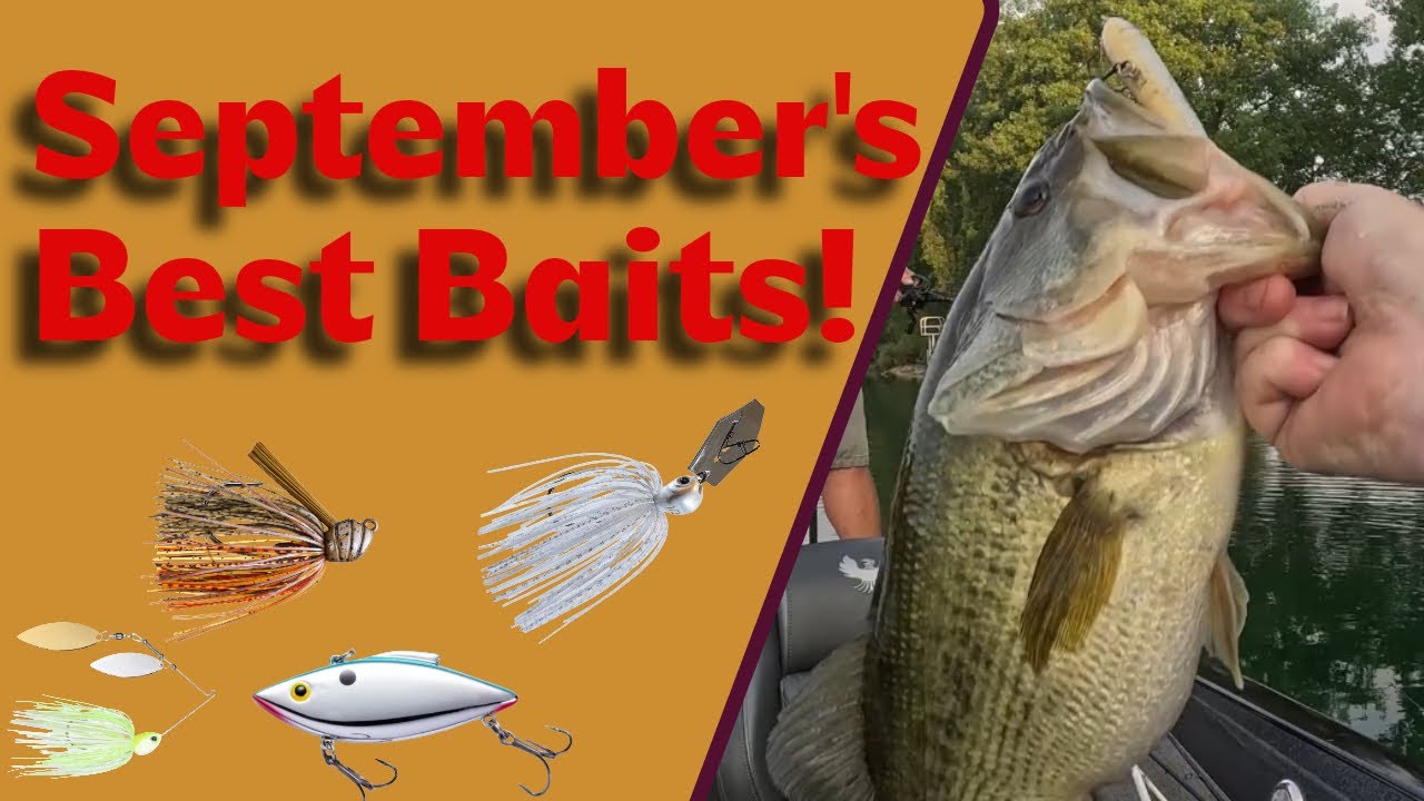 The Best Baits for Bass in September!
