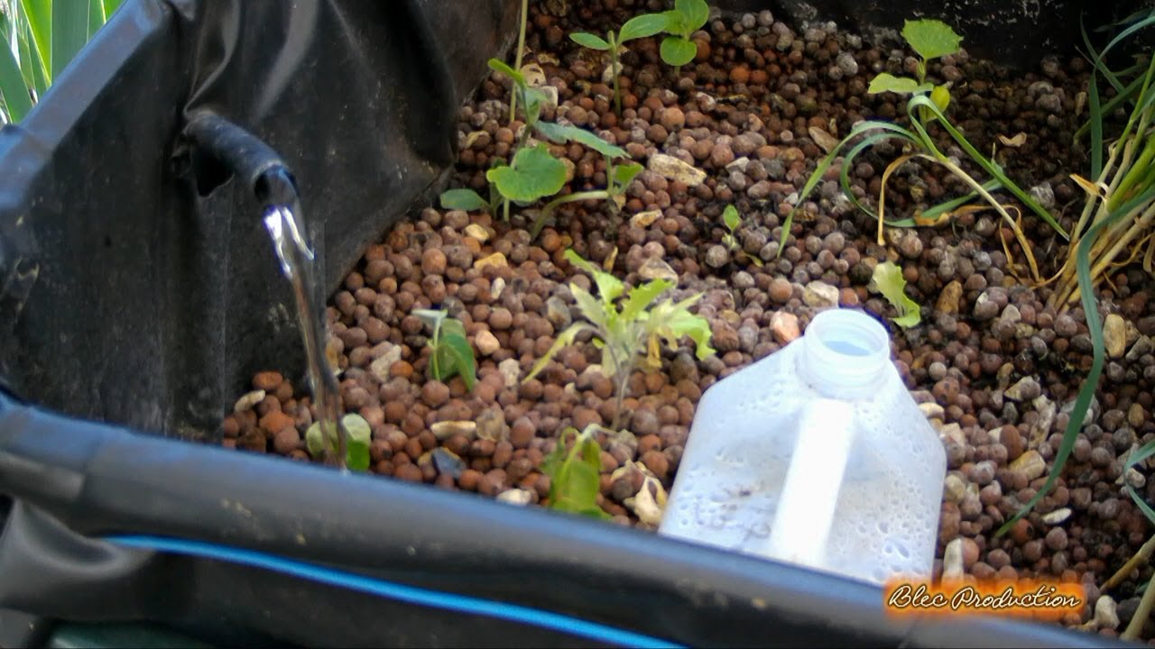 #1-Hydroponie- Présentation de ma table a marée .