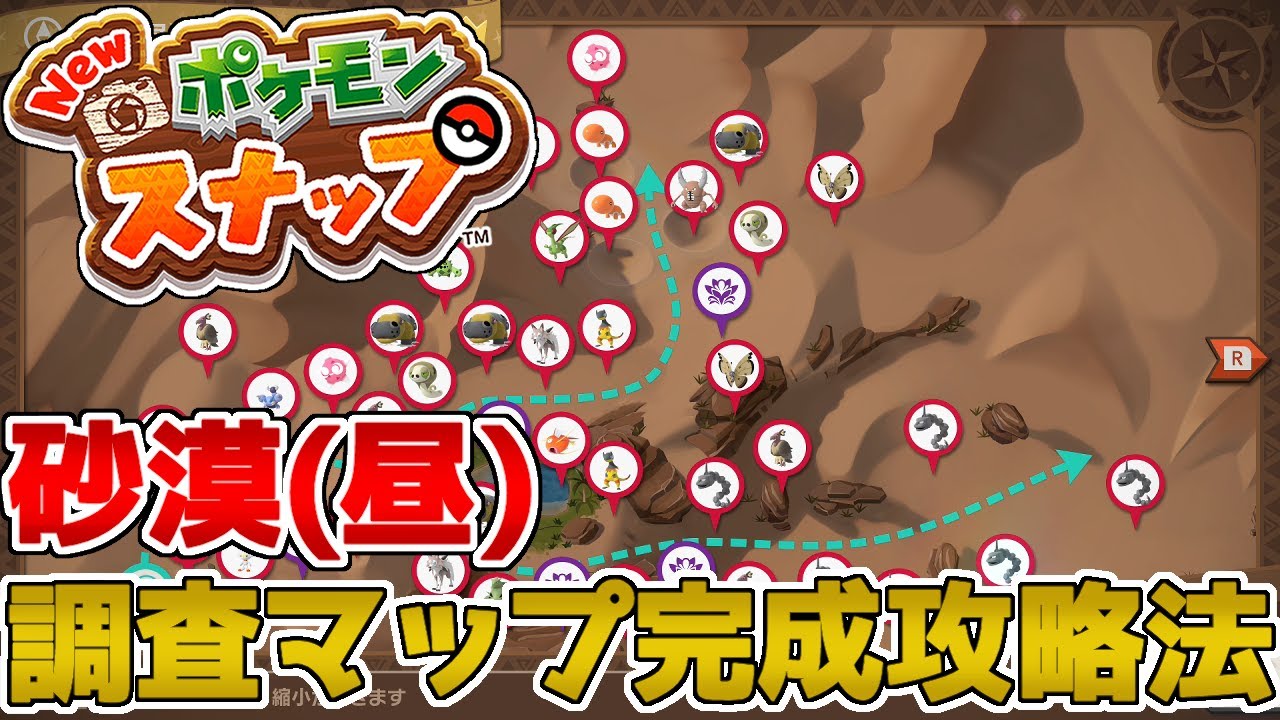 New ポケモンスナップ 砂漠 昼 の調査マップ完成攻略法を解説します Youtube