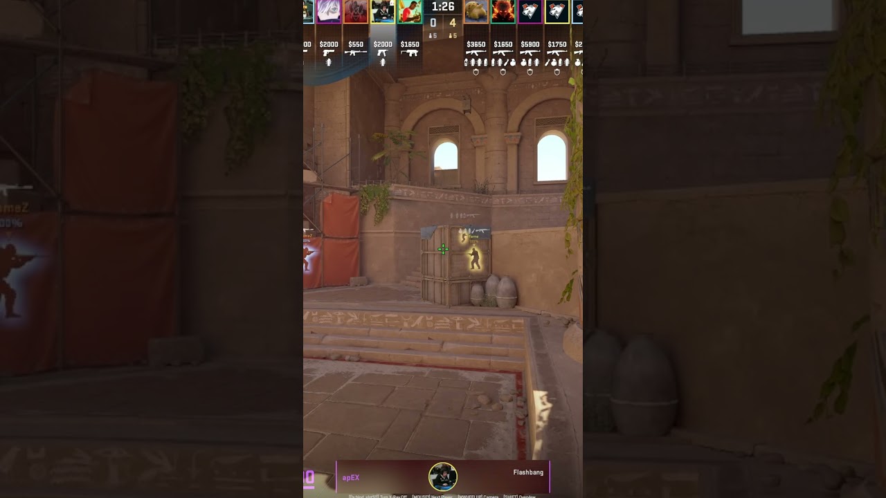 apEX’s Flash Helped flameZ Win the A Main Fight on Anubis