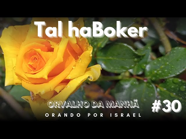 Tal haBoker - Orvalho da Manhã - Tal #30