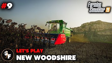 FS19 New Woodshire Let