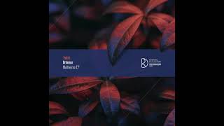 Drhamer - Multiverso