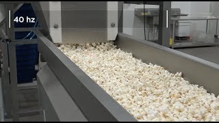 Vibratory Conveyor