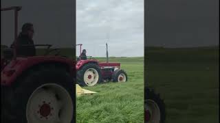 eerste snee maaien 2026 met international 644 allrad krone am 243 cv