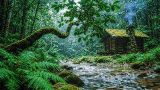 FOREST STREAM RIVER SOUNDS, GENTLE BIRD SONG, RELAXING NATURE SOUNDS. FOR SLEEPING & RELAXATION ASMR