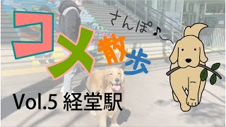 コメ散歩　〜Vol.5 経堂駅〜