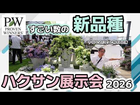 Packed with new PW varieties!] Hakusan Exhibition 2026: A look