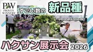 造花 Packed with new PW varieties!] Hakusan Exhibition 2026: A look