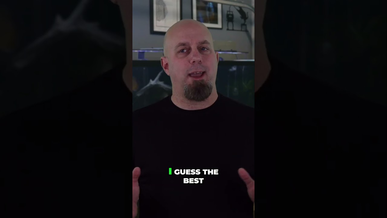 Почему каждой бета-рыбе нужен 5-галлонный аквариум