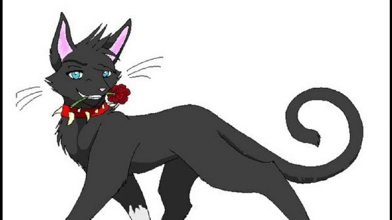 Картинки бича из котов воителей