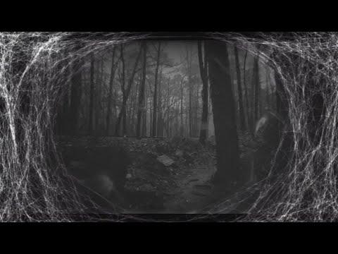 O.C.D - New Life