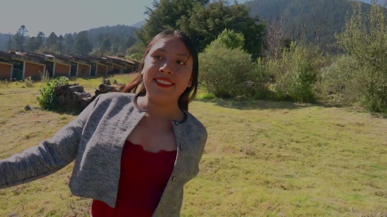 Tema De Estreno || Saúl y Su Órgano La Visión Musical || Sueño Hecho Realidad ||  Éxito Chilena 2025