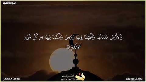 من سورة الحجر القارئ / مدحت مصطفي