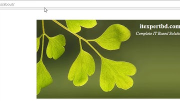 WP Plugin Development Part #6: Pass attributes to shortcode in wordpress plugin