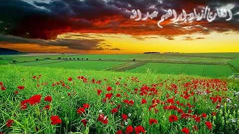 ||إن أجل ﷲ إذا جاء لا يؤخر ||سورة نوح بصوت القارئ زياد إبراهيم عبدالله