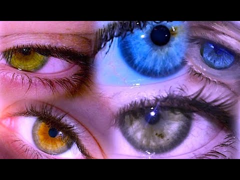 𝒹esired  𝒾ris 𝒸olor ౨ৎ