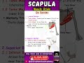 How to Remember Scapula Muscle Origins (Part 2) | Dr Jinal Medical Academy
