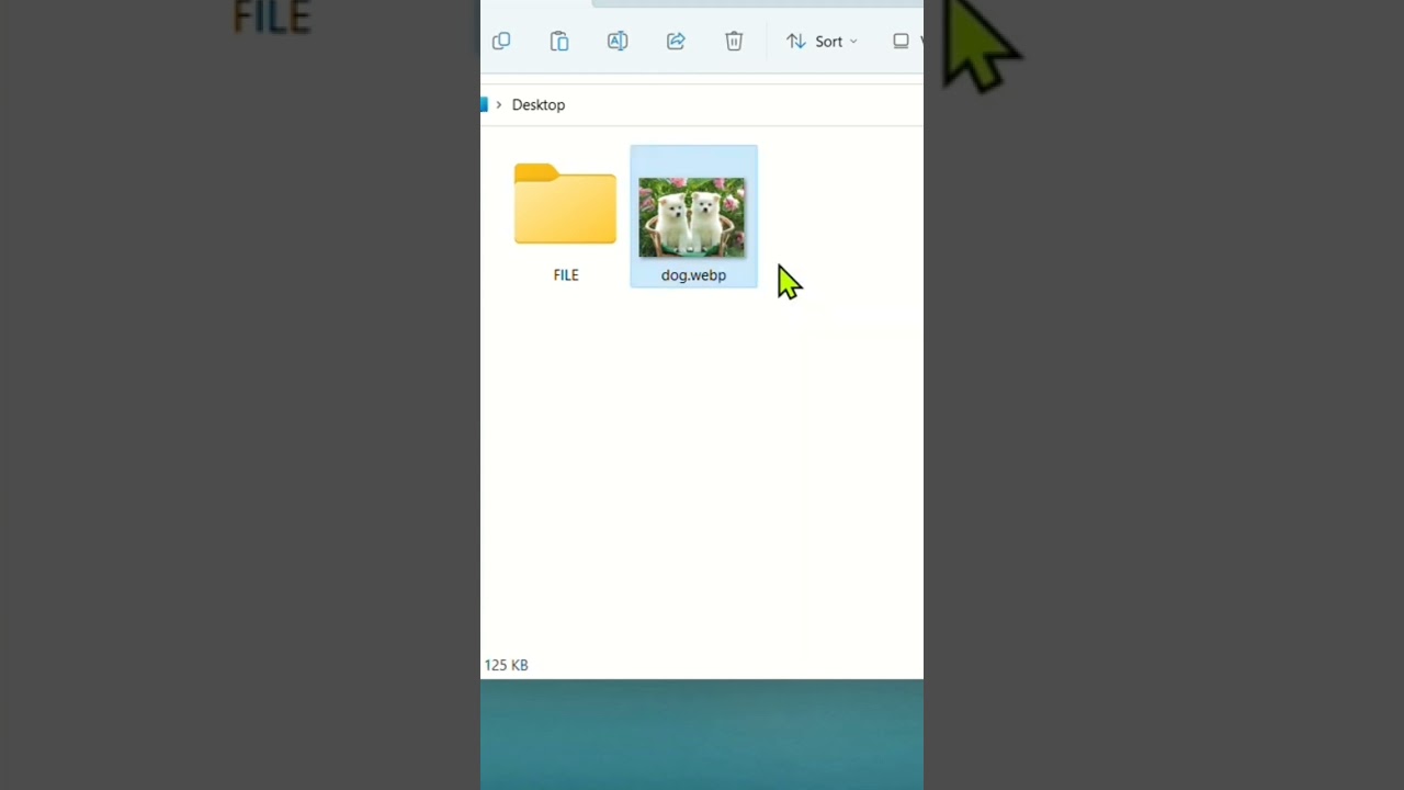 preview_player