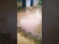 varish horahahe#tending #viralshort #youtuveshort