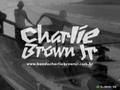 Charlie brown jr - o errado que deu certo ♫