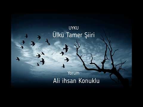 Uyku/Ülkü Tamer Şiiri