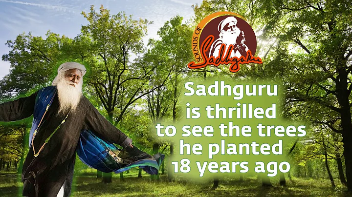 Sadhguru revisits his trees after 18 years!