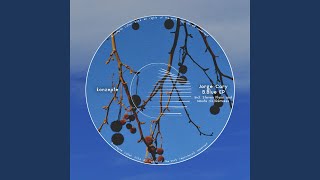 B.Blue (Steven Flynn Remix)