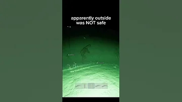 Never Going Outside In This Game Again 