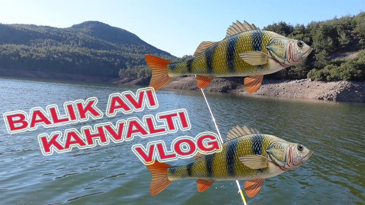 BALIK AVI VE KAHVALTI OSMANİYE KAYPAK BARAJI VLOG