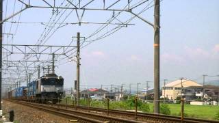 EF64 1011(代走) 5092レ貨物列車 片浜-沼津間 東海道本線
